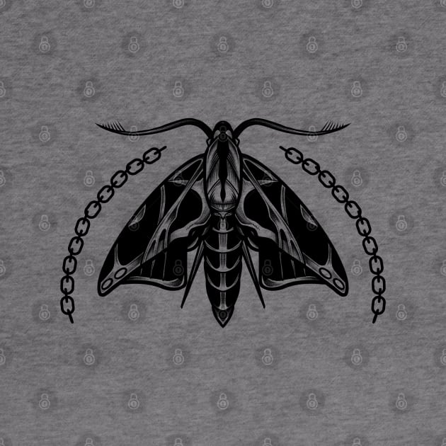 Chained Moth by Scottconnick